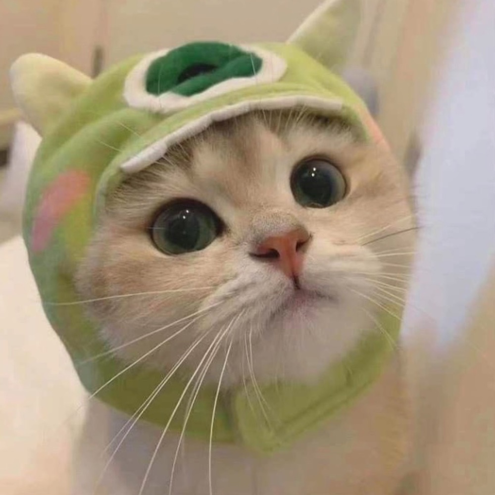 Meet your Posher, Samantha :)